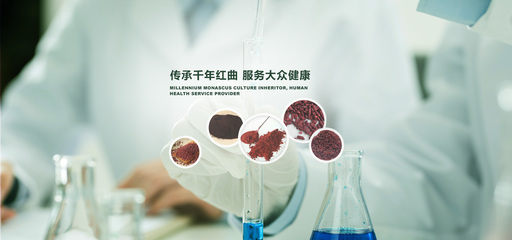 探索武漢佳成生物制品的紅曲世界 功能、發(fā)酵與釀造紅曲的多元應(yīng)用